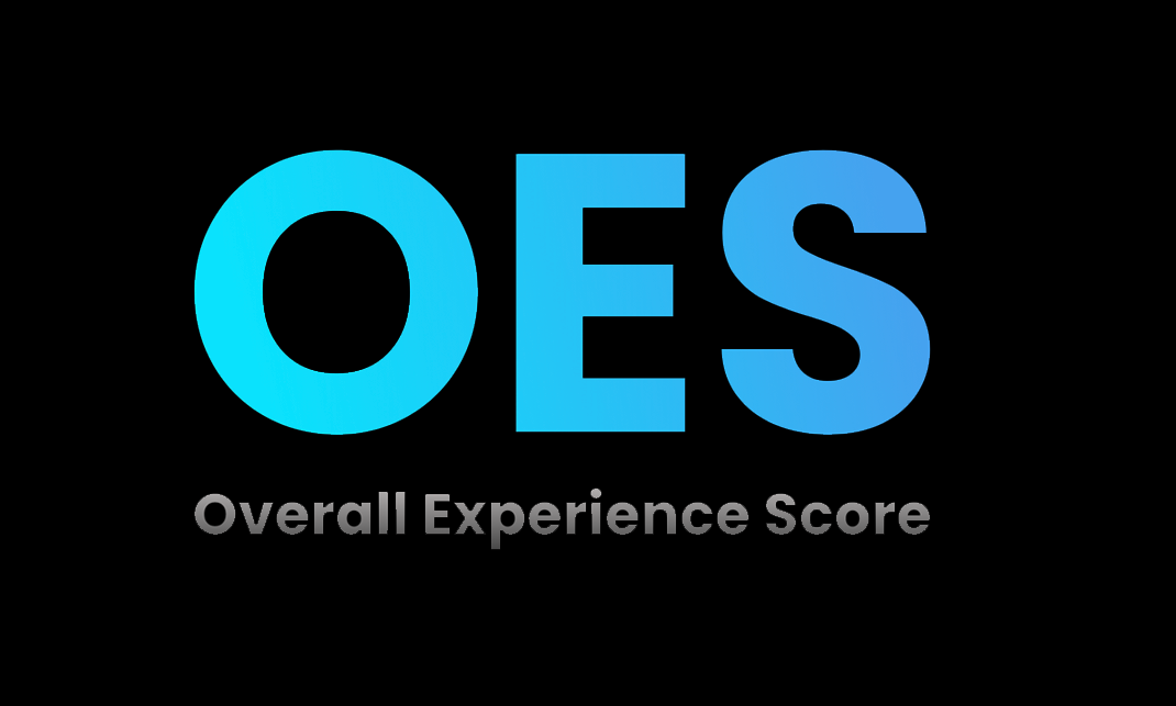 Overall Experience Score (OES) 8 oes2